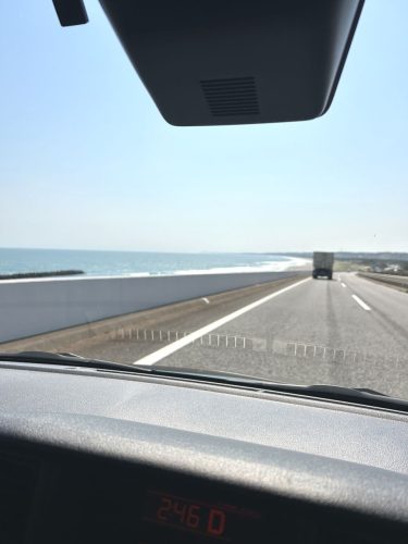 近畿・東海道中車栗毛